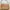 Reh Studios - Valentina Beige Bag (Real Leather) photo 4