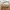 Reh Studios - Valentina Beige Bag (Real Leather)