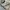 Onitsuka Tiger Cosplay Casual Sneakers Wanita multicolor photo 2
