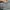 Lululemon Crop Legging Size 8 photo 6