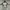 Rare Hoodie Tultex Glory Of USA Vintage Y2k Grunge Style photo 4