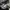 New Balance Streetwear Sportswear Sneakers Pria White Gray