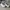 Converse Streetwear Minimalist Sneakers Pria white photo 2