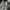 Converse Streetwear Minimalist Sneakers Pria white photo 4