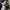 Converse Streetwear Minimalist Sneakers Pria white photo 5