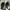 Converse Streetwear Minimalist Sneakers Pria white photo 7