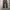 Uniqlo two pleat wide chino pants photo 3