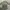 JACKET PARKA MILITARY M65 FIELD Jacket me sense photo 1