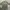 JACKET PARKA MILITARY M65 FIELD Jacket Me Sense