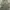 JACKET PARKA MILITARY M65 FIELD Jacket me sense photo 3