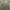 JACKET PARKA MILITARY M65 FIELD Jacket me sense photo 9