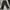 Trackpants Screamous photo 1