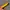 Vintage Pria yellow photo 5