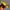 Vintage Pria yellow photo 2