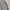 NIKE ACG Parachute Cargo pant photo 3