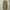 Fatigue Pants By Small Birds Union Made