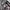 Southpole Camouflage Jacket photo 6