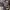 Southpole Camouflage Jacket photo 7