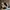 Christian Louboutin Seavaste 2 photo 1