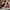 Christian Louboutin Seavaste 2 photo 3