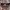 COOGI Style 3D Pattern Knitwear Giovani Uomo photo 8