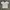 Bundling MCM Poloshirt & Pearly Gates Tee photo 1