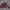 VINTAGE MAROON REAL LEATHER JACKET photo 1