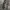 GU Cargo Superwide Ballon Pants Brown photo 4