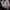 PALACE Streetwear Casual Sweatshirt Pria multicolor photo 4