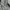 Burberry Vintage Casual Casual shirt Pria white photo 6