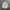 Burberry Vintage Casual Casual shirt Pria white photo 1