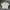 Zara Graphic Backhit Boxy Oversized Tee 