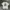 Guess Backhit Big Logo Tee