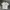 New Era Bakchit Logo Tee photo 1