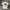 Lewis Tommy Embroidery Logo Tee