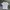 Kangol Backhit Big Logo Tee photo 1