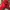 Mercie Studio - Boxy Hoodie Distressed Red photo 5