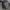 Ksubi 'Bring Back Life' Sering Lines Gray Plain T-shirt photo 5
