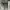 LOUIS VUITTON TRAINER MONOGRAM DENIM BLACK WHITE PANDA , LOU photo 10