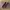 Vans Ward "Port Royal, Burgundy" photo 3