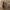 Vans Ward "Port Royal, Burgundy" photo 6