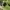 Adidas Zx 2k Boost Neon Green photo 4