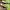Adidas Zx 2k Boost Neon Green photo 7