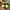 Adidas Zx 2k Boost Neon Green photo 5