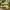Adidas Zx 2k Boost Neon Green photo 6