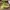 Adidas Zx 2k Boost Neon Green photo 1