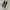 Vans slipon grey black checkerboard  photo 1