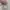 Carpenter carhartt vintage photo 3