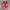 Vans authentic pink girls photo 3