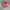 Vans authentic pink girls photo 1